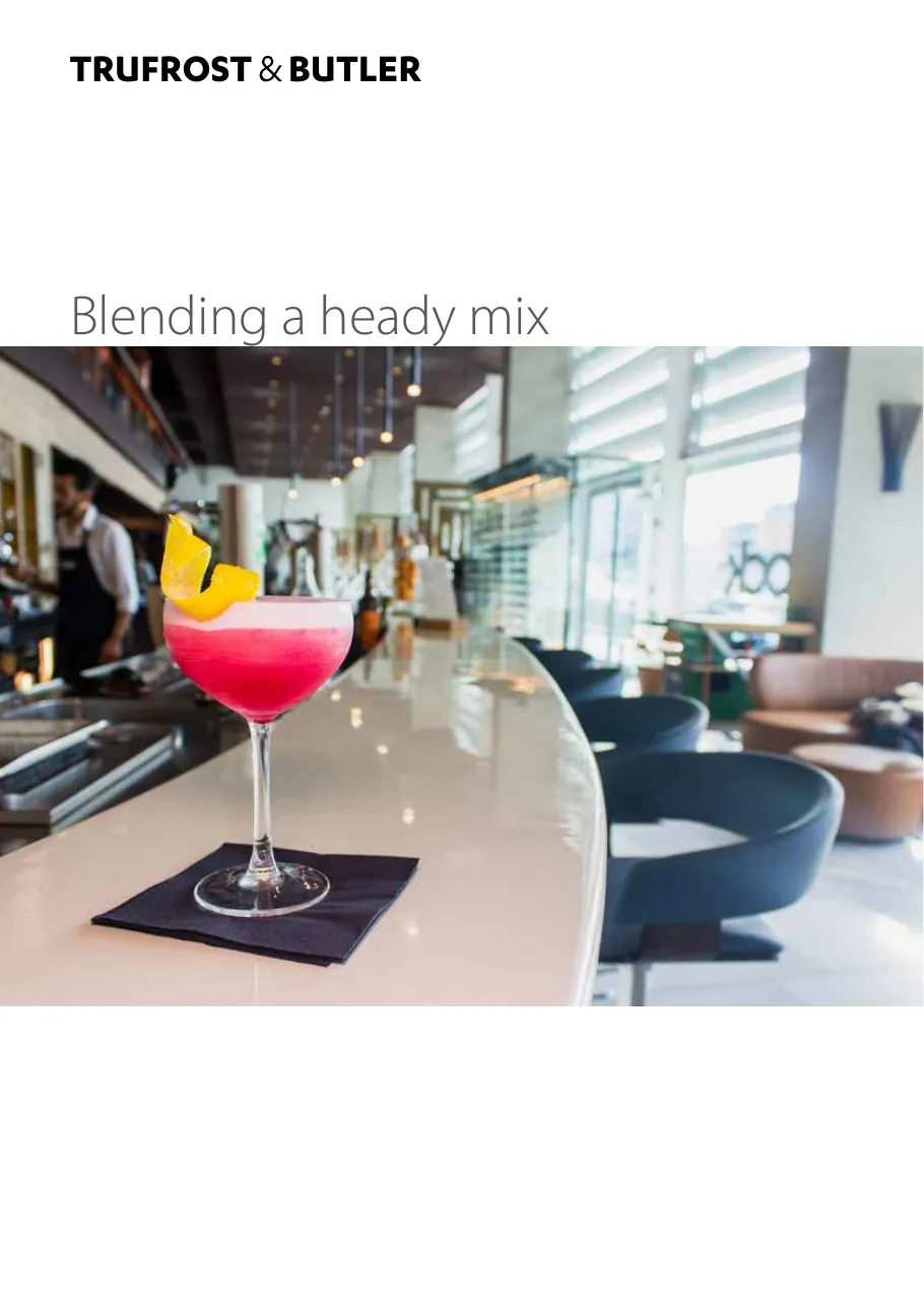 High Performance Commercial Blenders: first page